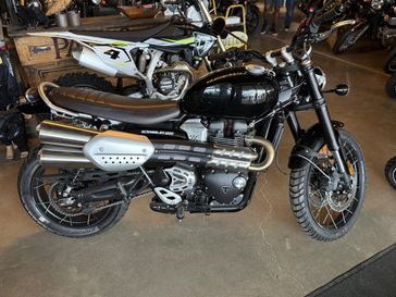 New 2024 Triumph Scrambler 1200 X 