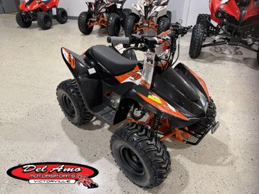 New 2026 Kayo STORM 70 