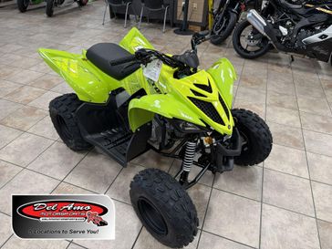 New 2026 Yamaha RAPTOR 110 