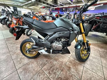 2025 Kawasaki Z125 PRO 