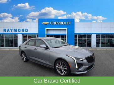 Silver Metallic