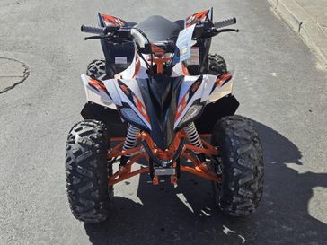 2026 Kayo Predator 110