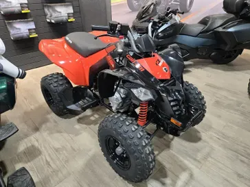 2025 Can-Am DS 250 BLACK AND CANAM RED 