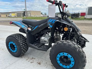 New 2026 Ice Bear Powersports GRZ125-D 