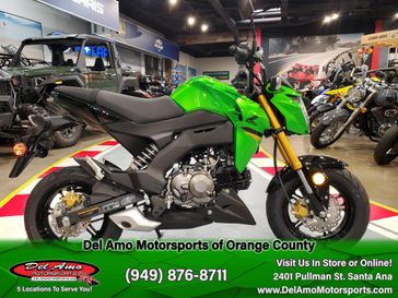 2024 Kawasaki Z125 PRO 