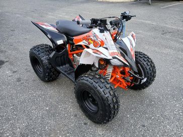 NEW 2026 KAYO PREDATOR 125 