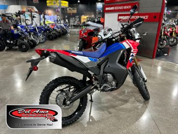 New 2025 Honda CRF300L RALLY 