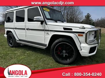 2015 Mercedes-Benz G 63 AMG AMG