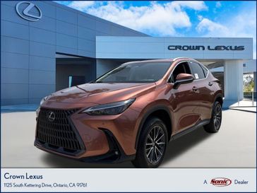 2025 Lexus NX 250