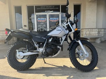 2024 YAMAHA TW200 GALLANT GRAY