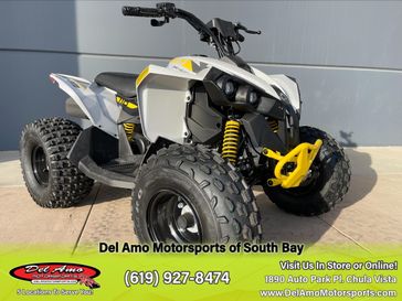 2025 Can-Am RENEGADE 110 EFI