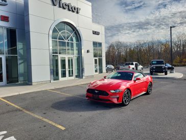 Used 2023 Ford Mustang 