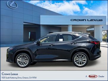 2025 Lexus NX 350h Premium