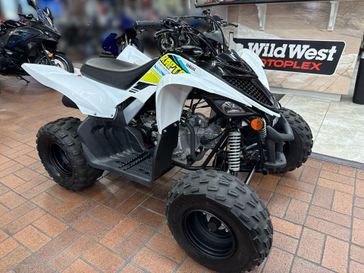 Used 2022 Yamaha RAPTOR 90 