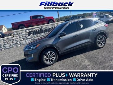 Used 2021 Ford Escape SEL