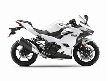 Used 2020 Kawasaki EX400GLFL 