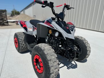 New 2026 Ice Bear Powersports GRZ125-D 