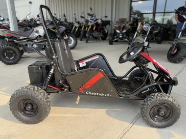 New 2025 TrailMaster Cheetah I3 
