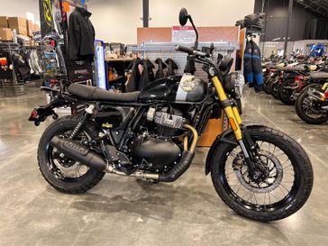 2025 Royal Enfield INT 650 Bear