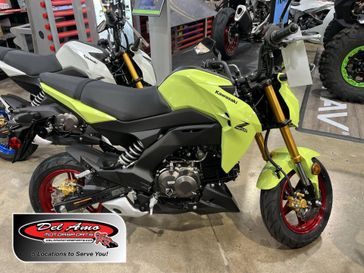 New 2026 Kawasaki Z125 PRO 
