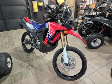 NEW 2025 HONDA CRF 300L RALLY 