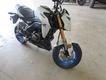 NEW 2026 KAWASAKI Z125 PRO 