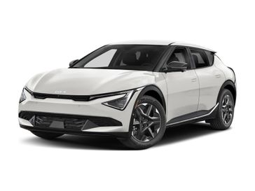 Panthera Metal Gray