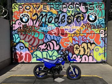 Team Yamaha Blue