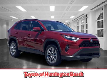 New 2025 Toyota RAV4 XLE Premium