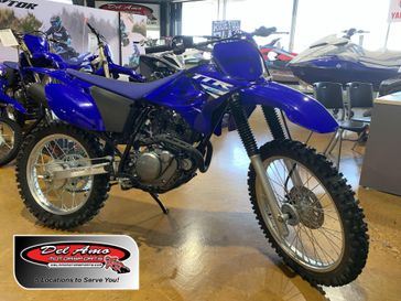 New 2025 Yamaha TT-R230 