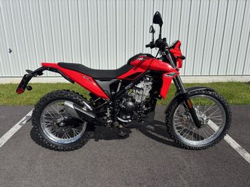 2026 Beta ALP 4.0