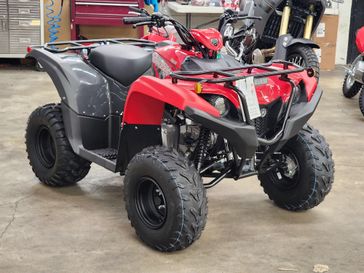 2025 Yamaha GRIZZLY 110 