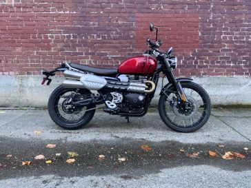2025 Triumph SCRAMBLER 1200 X