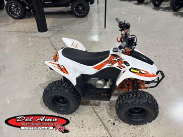 New 2026 Kayo STORM 70 