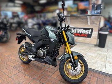 2025 Kawasaki Z125 PRO 