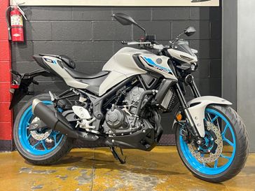 2025 Yamaha MT-03 