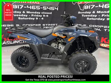 New 2026 Kawasaki Brute Force 300 