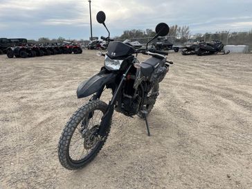 Used 2019 Kawasaki KLX250SKFAL 
