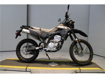 2024 Kawasaki KLX300 
