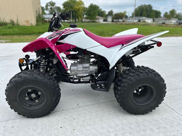 Used 2023 Honda TRX250X 