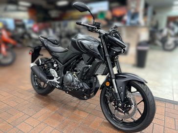 New 2025 Yamaha MT-03 