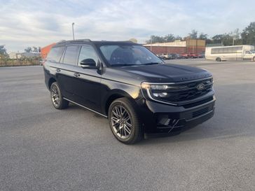 New 2025 Ford Expedition Platinum