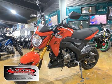 2025 Kawasaki Z125 PRO 