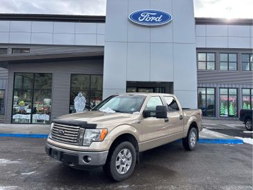 Used 2012 Ford F-150 XLT