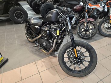 Used 2014 HARLEY Sportster Iron 883 