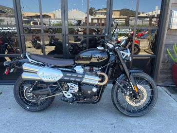 2024 Triumph SCRAMBLER 1200X 