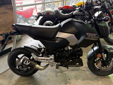 New 2025 Honda GROM SP 