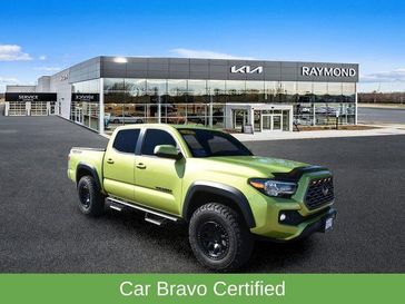 Electric Lime