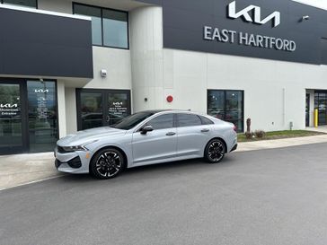 Wolf Gray