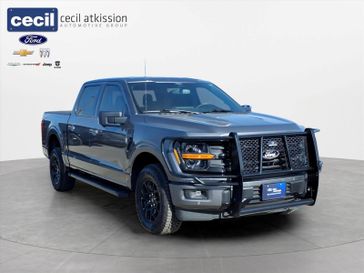 Used 2025 Ford F-150 XLT